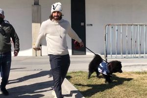 Rayados: Rodolfo Pizarro vistió a su perro con playera de Monterrey