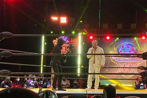 Rey de Reyes: Fénix anunció que no participará en el evento de Triple A