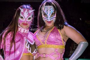 Chik Tormenta y Flammer se jugarán la máscara en Tijuana