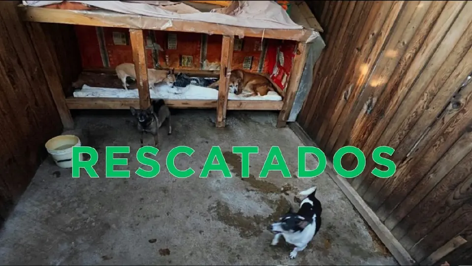 La Fiscalía mexiquense inició las investigaciones correspondientes / Especial
