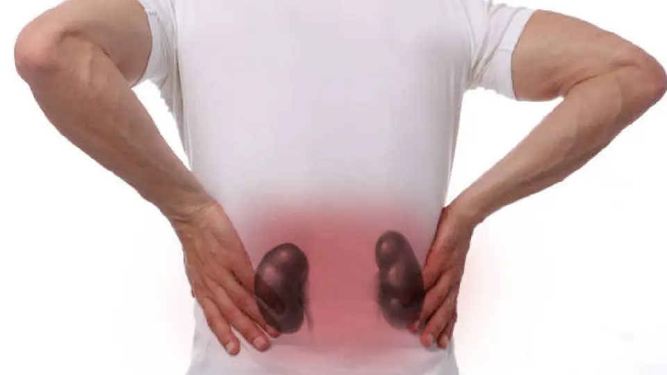 Tationil Plus de 3000 MG es recetado para problemas de insuficiencia renal, que era lo que sufría el Mencho/Pixabay