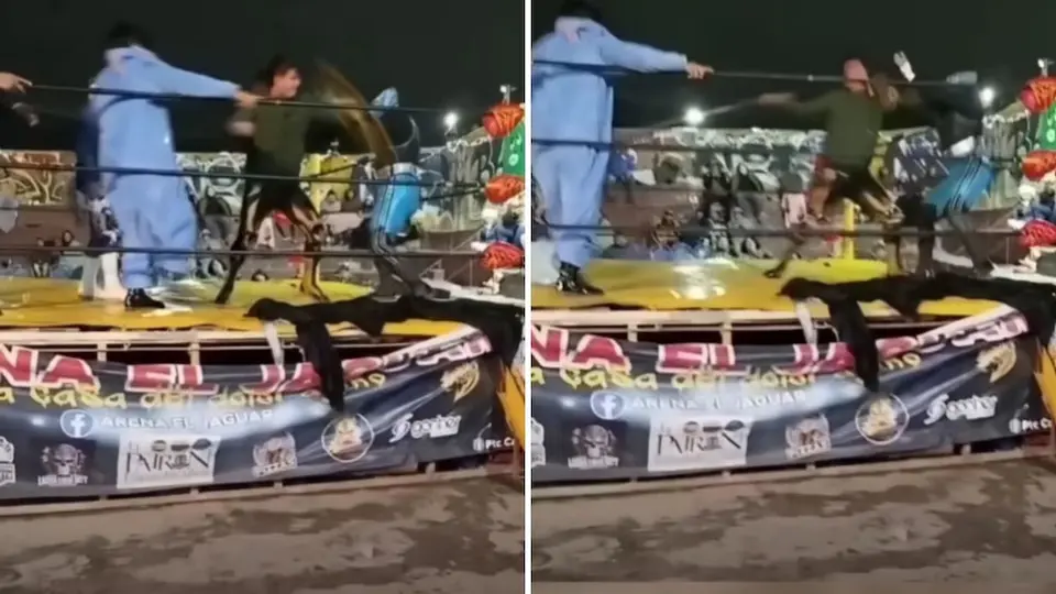 Pelea fuera de control en la función de la Arena El Jaguar | Captura de pantalla