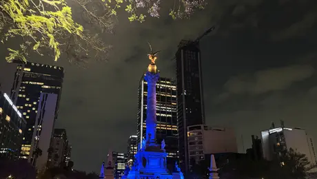 Festival Filux transforma Paseo de la Reforma en un corredor de arte y luz en CDMX