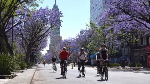 La ruta incluye puntos emblemáticos como Reforma, Chapultepec y el Zócalo./ Semovi
