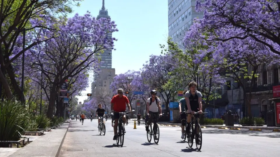 La ruta incluye puntos emblemáticos como Reforma, Chapultepec y el Zócalo./ Semovi