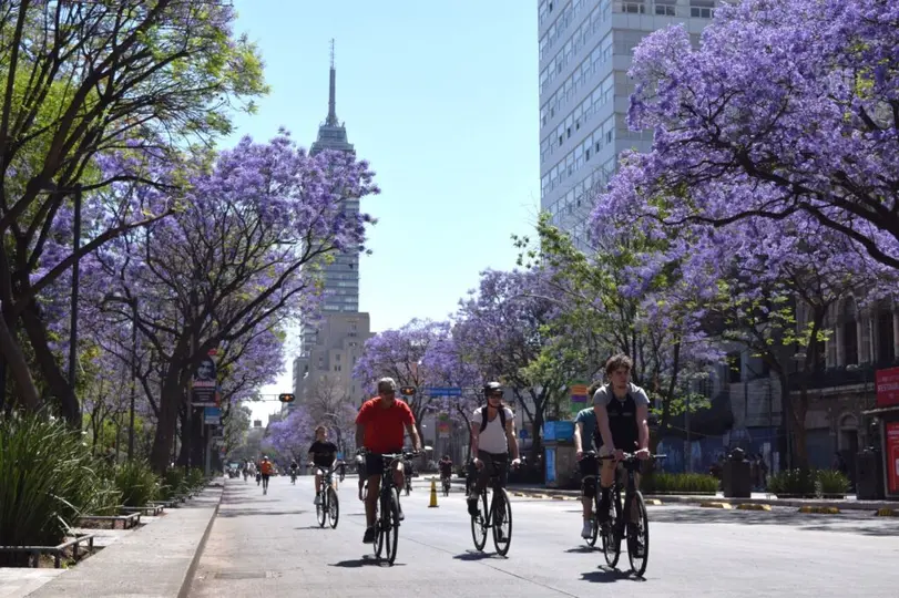 La ruta incluye puntos emblemáticos como Reforma, Chapultepec y el Zócalo./ Semovi