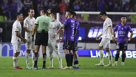 ¡Sin sanción! 'Gato' Ortiz estará en Chivas vs Tijuana junto con Katia Itzel García