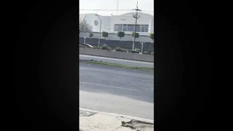 Así llegó Cruz Azul al Estadio Olímpico Universitario para la Final del CL26