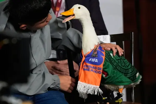 Merlín pasó de ser una mascota familiar a convertirse en uno de los fenómenos virales más comentados de la Copa Mundial 2026./ AP