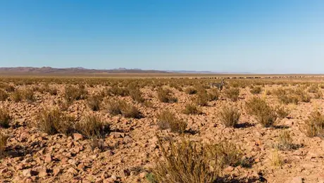 Lluvias reducen la sequía en México; junio rompe récords y supera niveles habituales de humedad