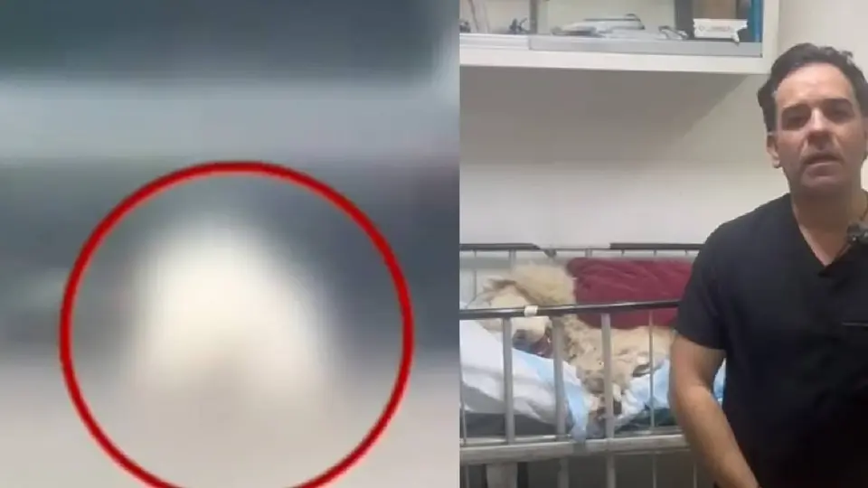 La muerte de "Rocky" movilizó a decenas de personas en Saltillo, donde el homenaje estuvo acompañado por mariachis, flores y un reclamo de justicia./ RS