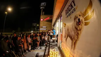 Con mariachis despiden a Rocky y exigen justicia por el perro víctima de crueldad animal