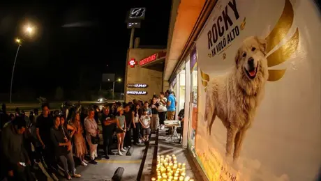 Con mariachis despiden a Rocky y exigen justicia por el perro víctima de crueldad animal
