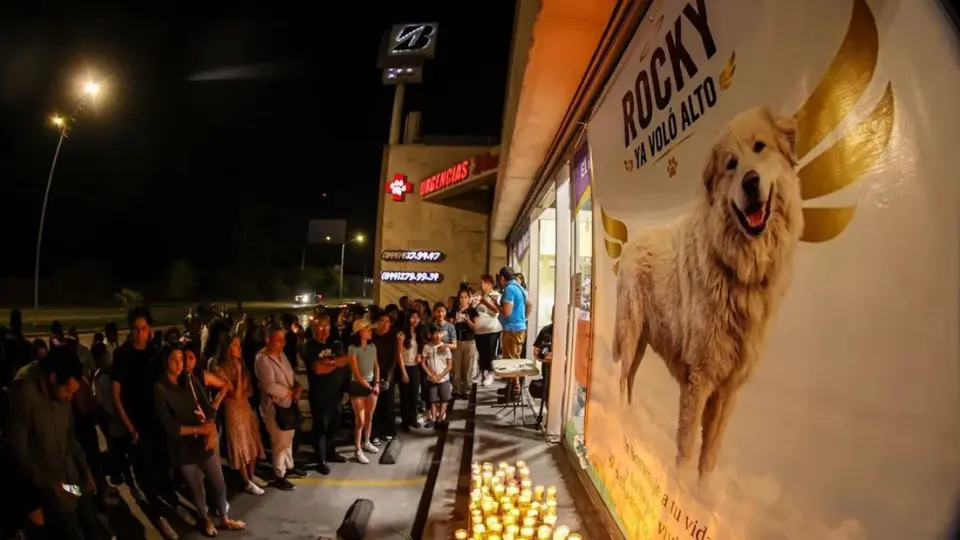 Con mariachis despiden a Rocky y exigen justicia por el perro víctima de crueldad animal