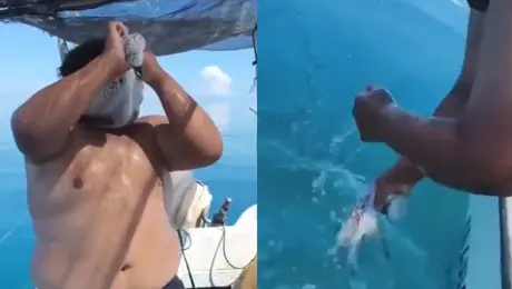 VIDEO: Pulpo se aferra al rostro de un pescador y protagoniza inesperado momento en Yucatán