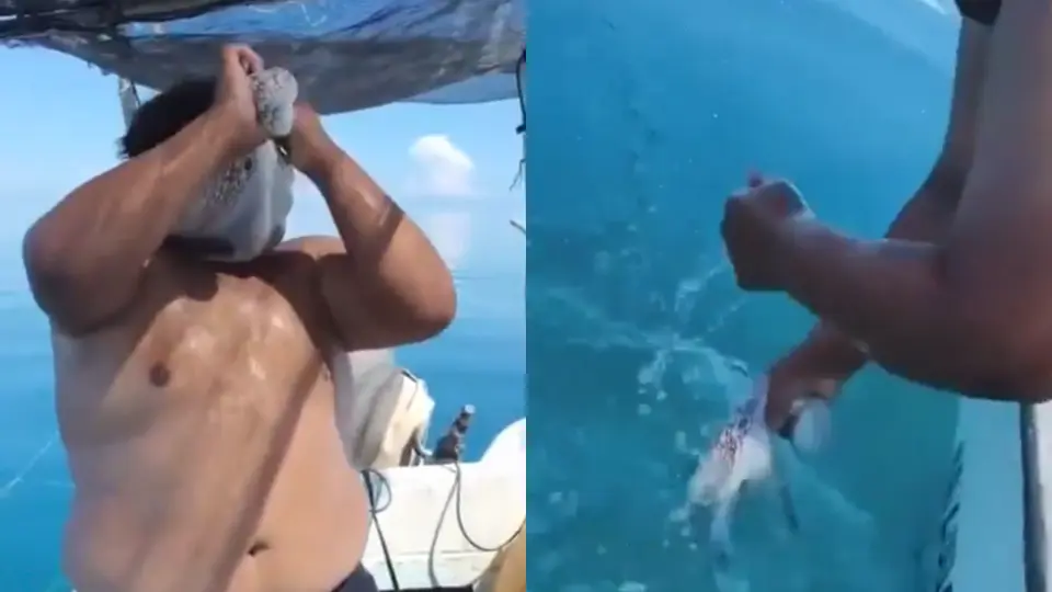 VIDEO: Pulpo se aferra al rostro de un pescador y protagoniza inesperado momento en Yucatán