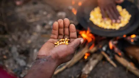 Inegi revela que 2.6 millones de hogares se quedaron sin alimentos por falta de dinero