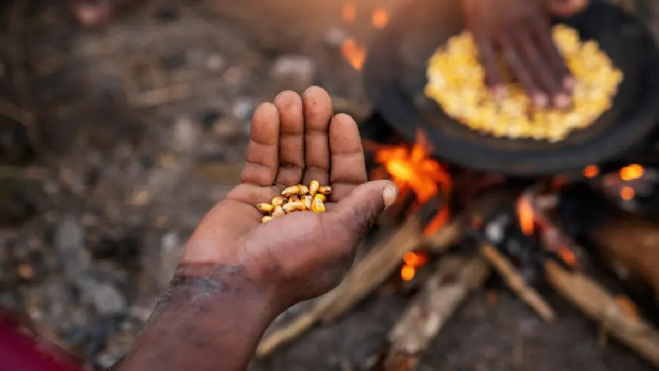 Inegi revela que 2.6 millones de hogares se quedaron sin alimentos por falta de dinero