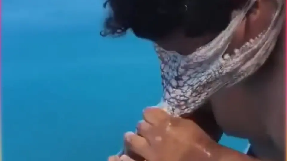 Un pescador de Progreso, Yucatán, vivió un inesperado encuentro con un pulpo./@ehiramhurtado