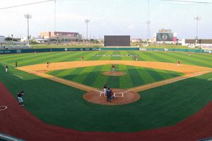 Horacio De la Vega: 'Liga Mexicana de Beisbol está más unida que nunca'