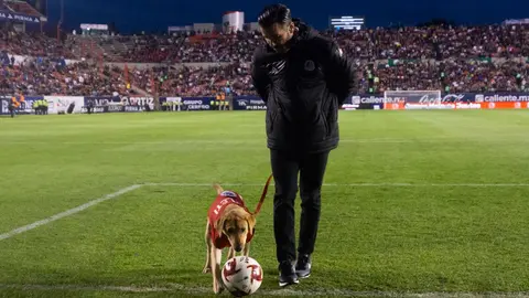 Atlético de San Luis celebró el 'Día del Perro' con los canes que han adoptado