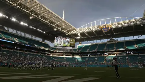 Aficionados salvan la vida de un gato en el Hard Rock Stadium