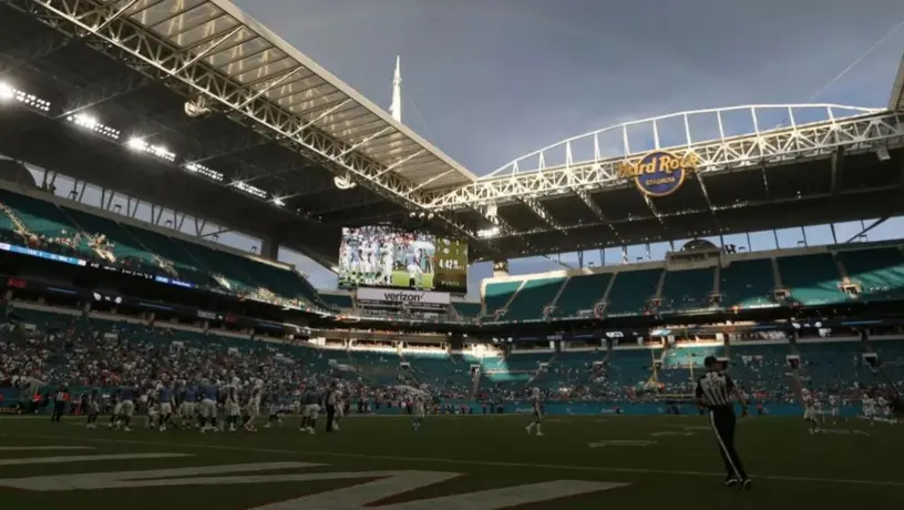 Aficionados salvan la vida de un gato en el Hard Rock Stadium