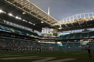 Aficionados salvan la vida de un gato en el Hard Rock Stadium