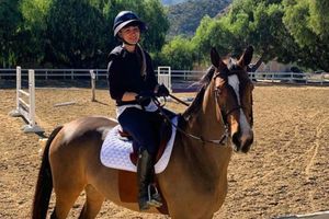 Actriz Kaley Cuoco se ofreció a comprar caballo maltratado en Tokio 2020