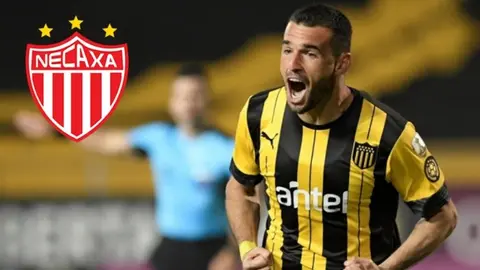 Necaxa: Fabricio Formiliano fue presentado como nuevo jugador de los Rayos