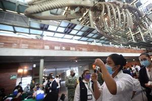 México registró 2 mil 767 nuevos casos de Covid-19; muertes sumaron 253