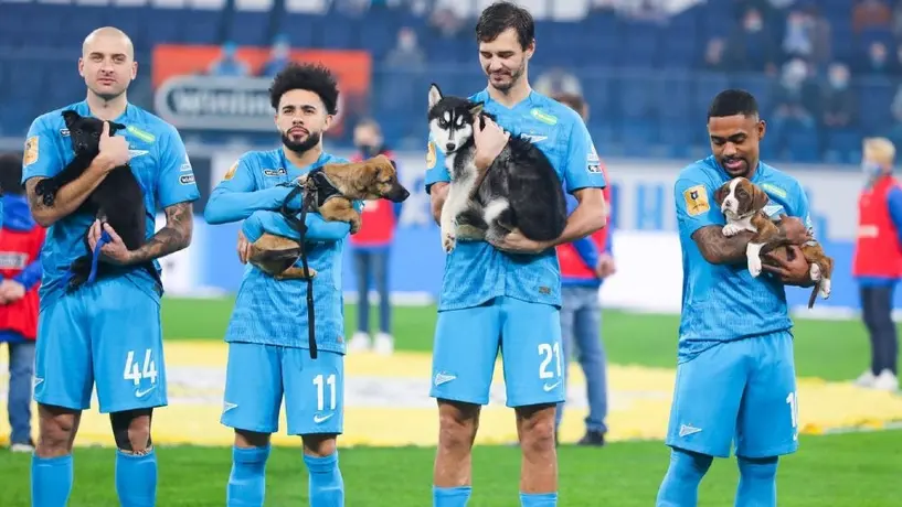 Zenit: Equipo salió al campo con perritos para promover su adopción