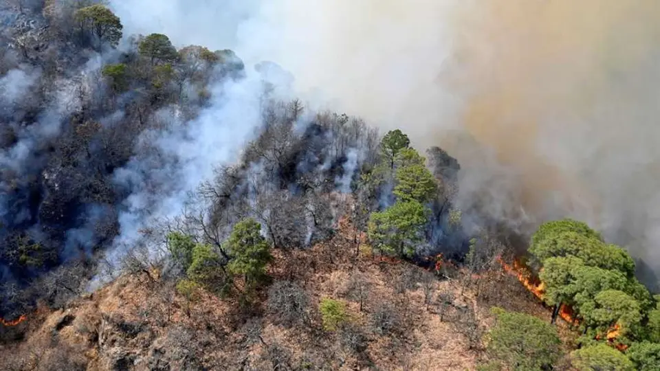 Tepoztlán: Conafor reportó que se controló en un 100 por ciento incendio en El Tepozteco