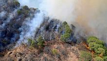 Tepoztlán: Conafor reportó que se controló en un 100 por ciento incendio en El Tepozteco