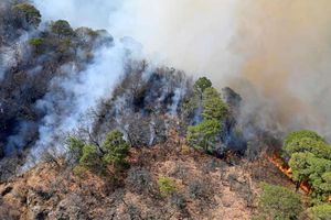 Tepoztlán: Conafor reportó que se controló en un 100 por ciento incendio en El Tepozteco