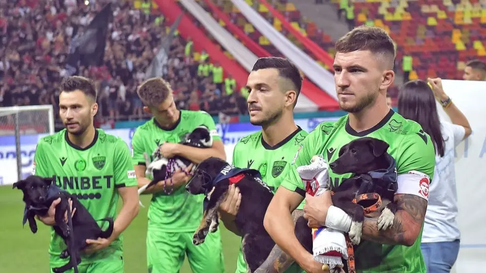 Rumania: Federación de Futbol promueve adopción de perros presentándolos en partidos