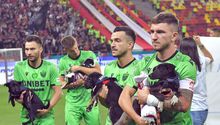 Rumania: Federación de Futbol promueve adopción de perros presentándolos en partidos
