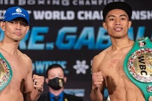 Nonito Donaire defenderá su título Gallo ante Reymart Gaballo para consagrarse campeón mundial