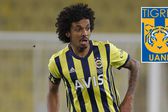Tigres: Estaría interesado en fichar a Luiz Gustavo