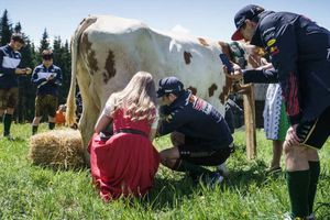Checo Pérez ordeñó una vaca durante actividades de Red Bull en Austria