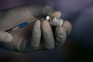 Covid-19: Pfizer anunció que su vacuna para niños de entre 5 y 11 años es efectiva