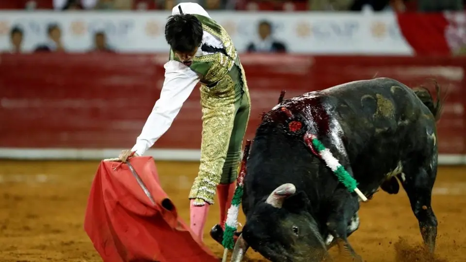 CDMX, cerca de aprobar la prohibición de las corridas de toros