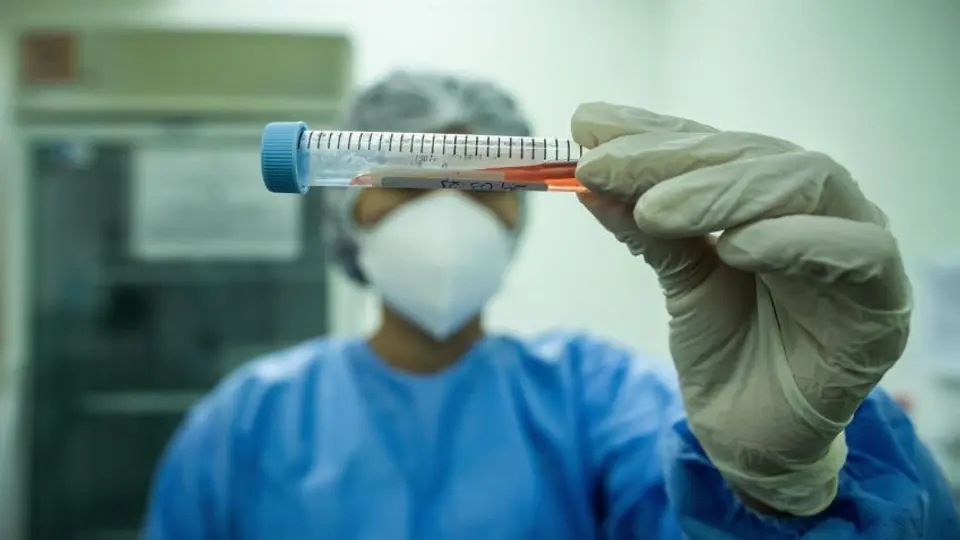 Coronavirus: Pfizer, Roche y AstraZeneca ensayan con pastillas antivirales