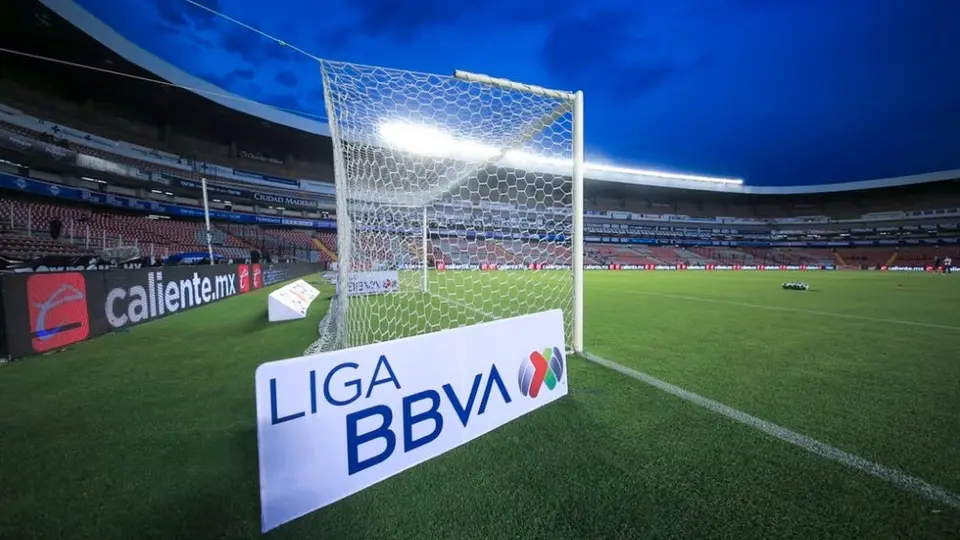 Querétaro: La Corregidora será el primer estadio con zona exclusiva para mascotas
