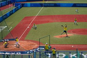 Tokio 2020: Oso invadió un estadio de softbol; sigue suelto