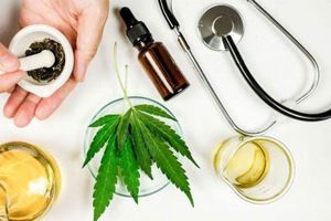 Cannabis medicinal cambiaría paradigma de medicina personalizada: Luis Doporto Alejandre
