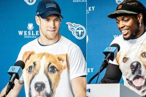 Titans: Tannehill y Henry promovieron adopción de perros con increíbles playeras