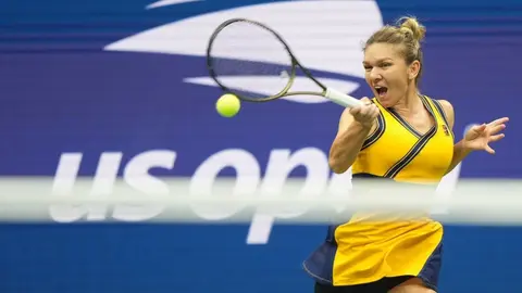 Simona Halep: Investigadores rumanos utilizaron el nombre de la tenista para 'bautizar' un insecto