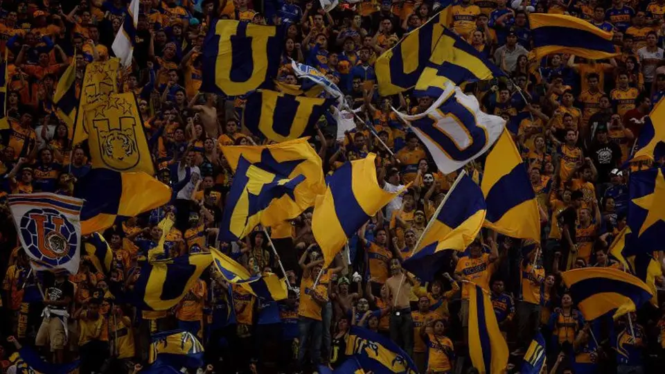 Piojo Herrera:  'De local, Tigres pesa más que América'