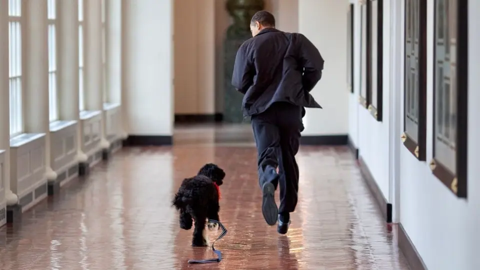 Barack Obama: Falleció el perro del expresidente de los Estados Unidos por cáncer